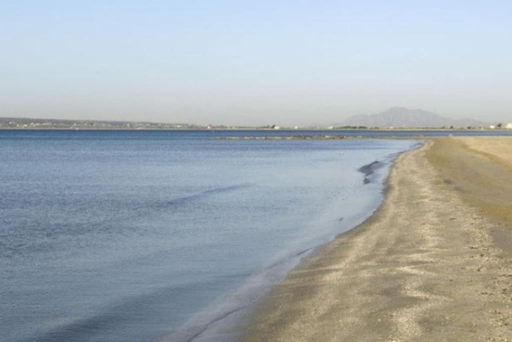 Apartamento Frente Al Mar, Familiar Y Acogedor. Santa Pola Dış mekan fotoğraf